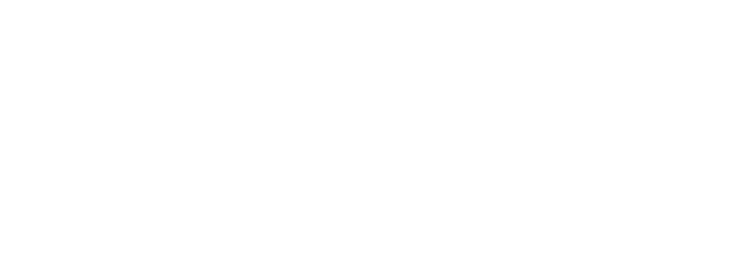pluralis_logo_footer
